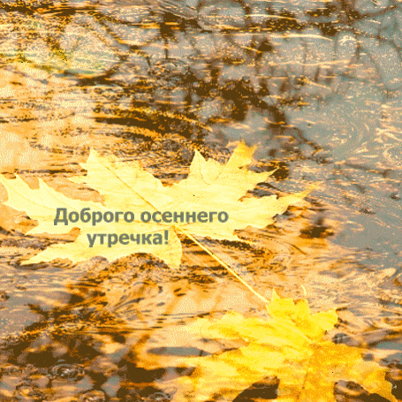 -4
