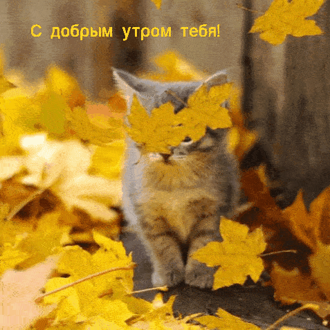 -7