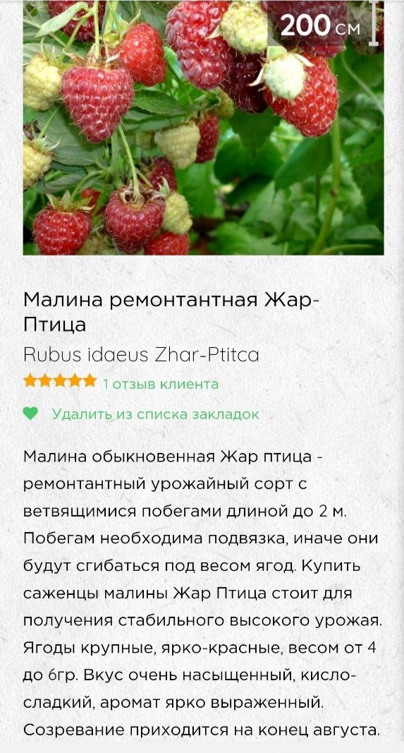 Скрин из открытых источников