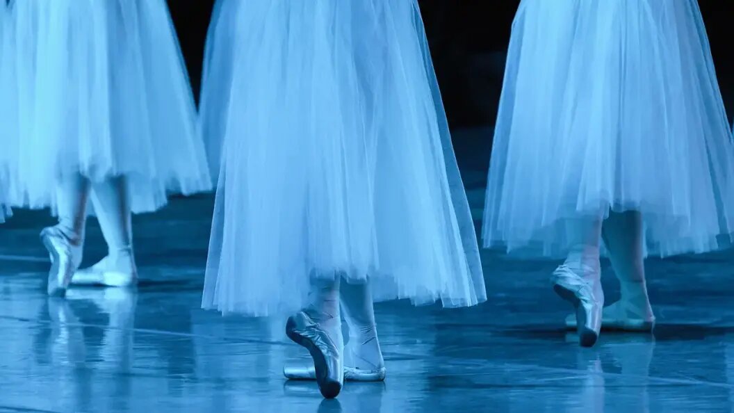    Tricky_Shark\shutterstock