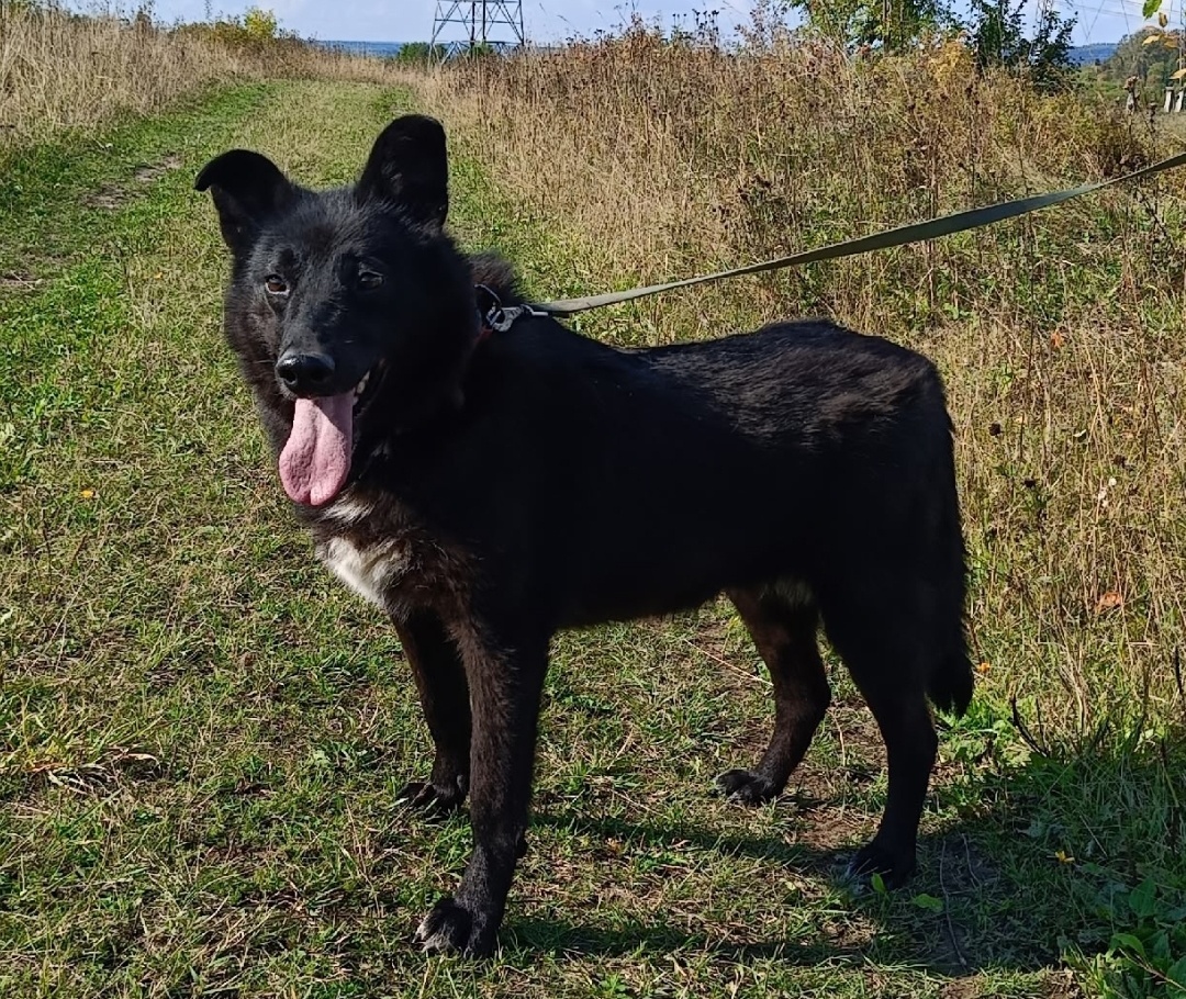 Грета сентябрь 2025