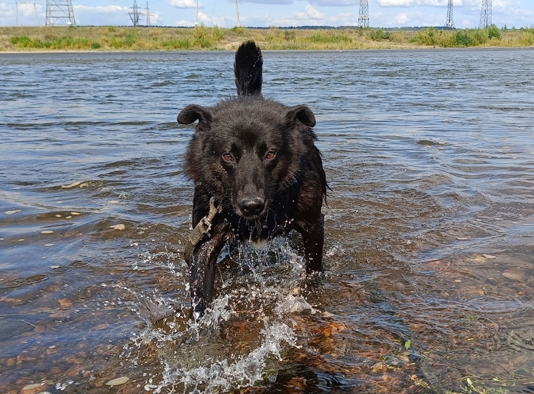 Очень любит купаться