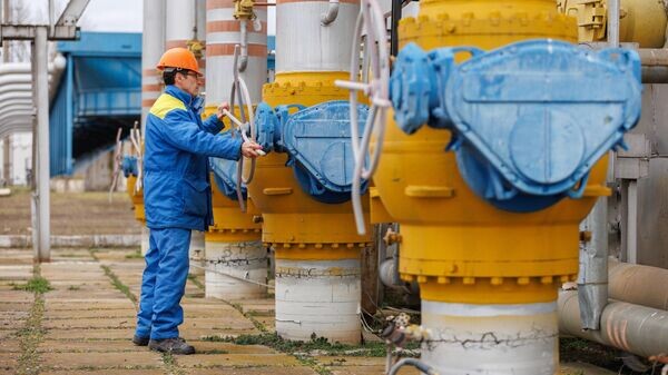    © РИА Новости . Артем Кулекин