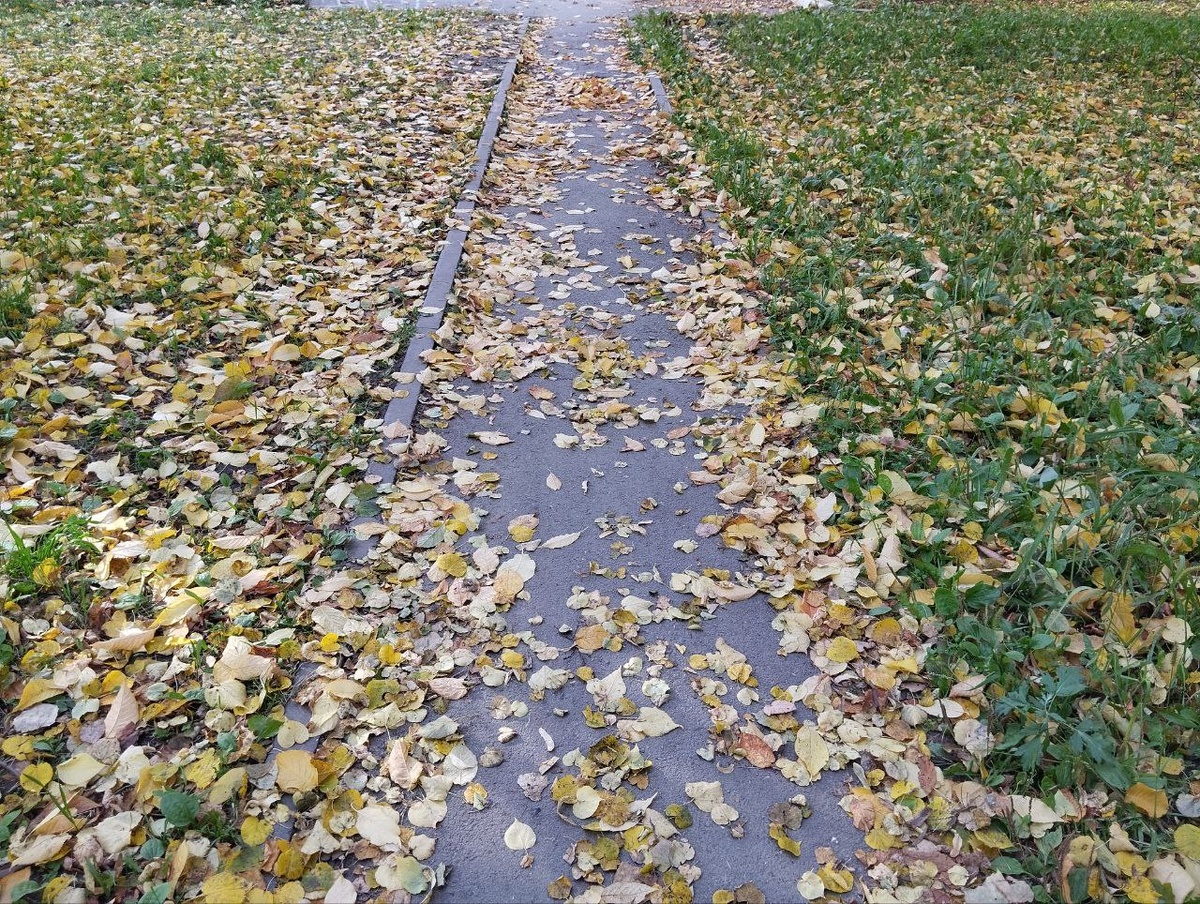 Ветер будет северный и северо-западный.  Фото: Фото: ФедералПресс / Екатерина Ломакина