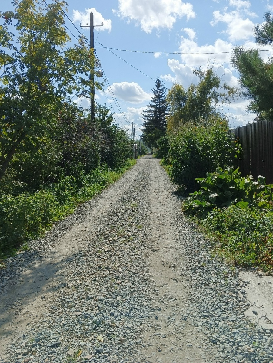 Аллея образца 3.09.2025. Костры рябин повсюду, но именно рябину я не фотографировала)