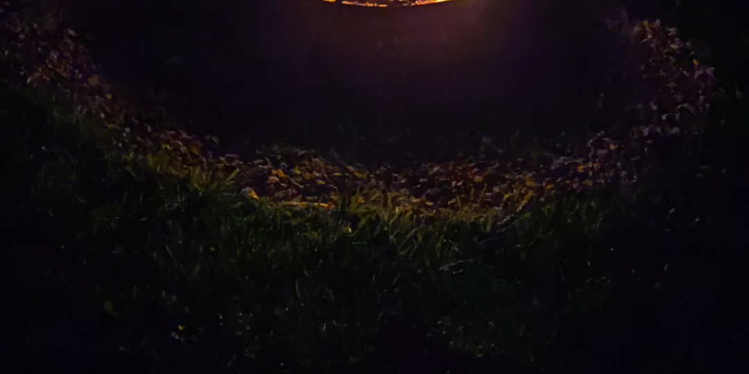 Дачное. Итоги прошедшего лета. Хорошие и не очень.