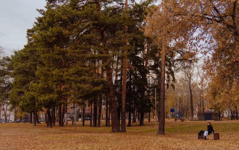   Главные новости Ижевска на утро 5 сентября: последнее слово Гордумы и ремонт трассы