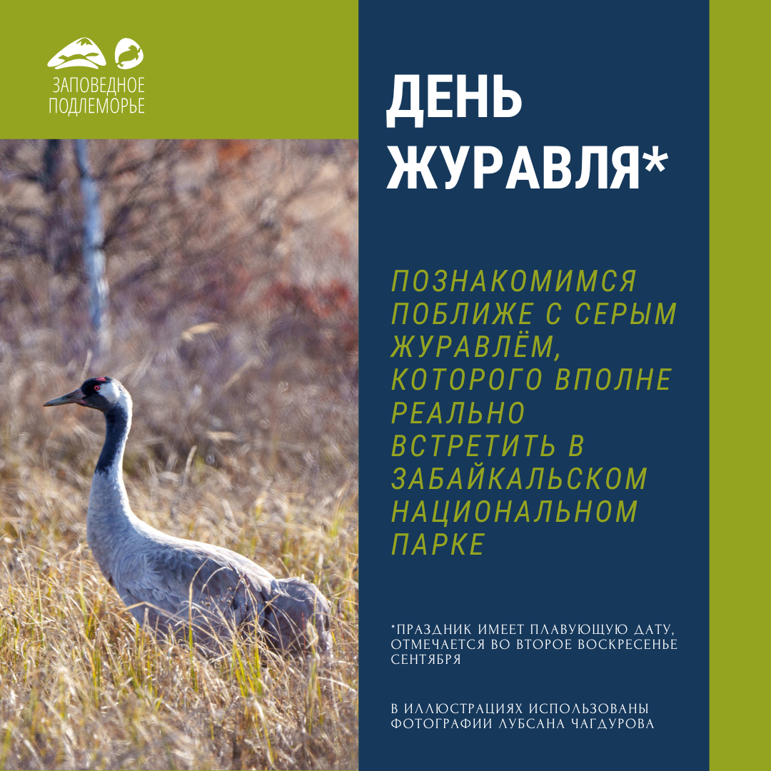 Листайте галерею, чтобы посмотреть все иллюстрации!