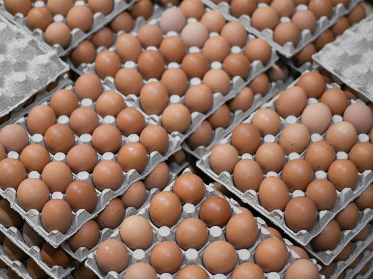    Фото: Александр Кряжев, источник: РИА Новости