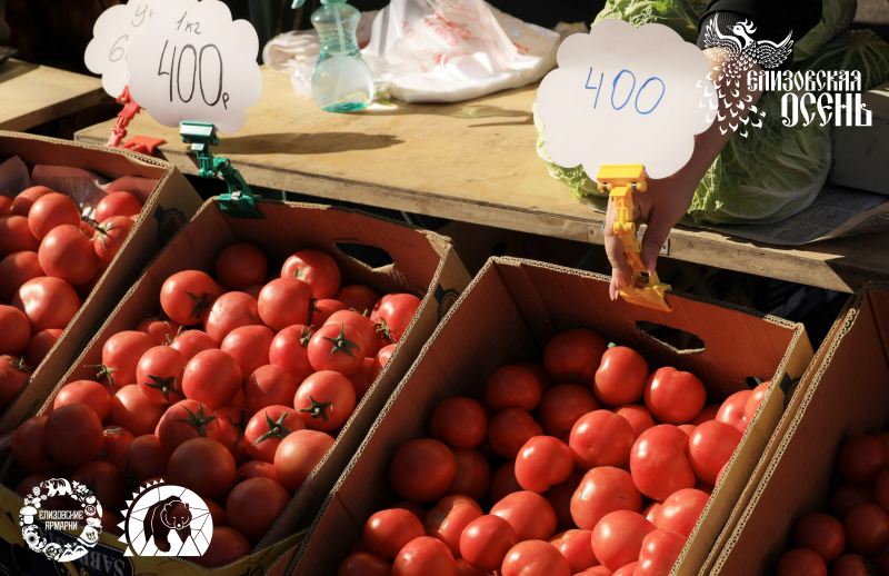 администрация Елизовского района