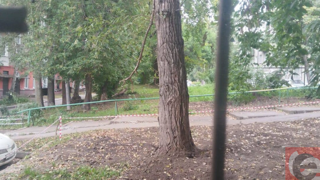    Фото: читатель Прецедента