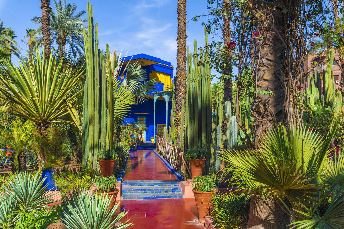 Вид на сад Мажорель с его знаменитым синим цветом