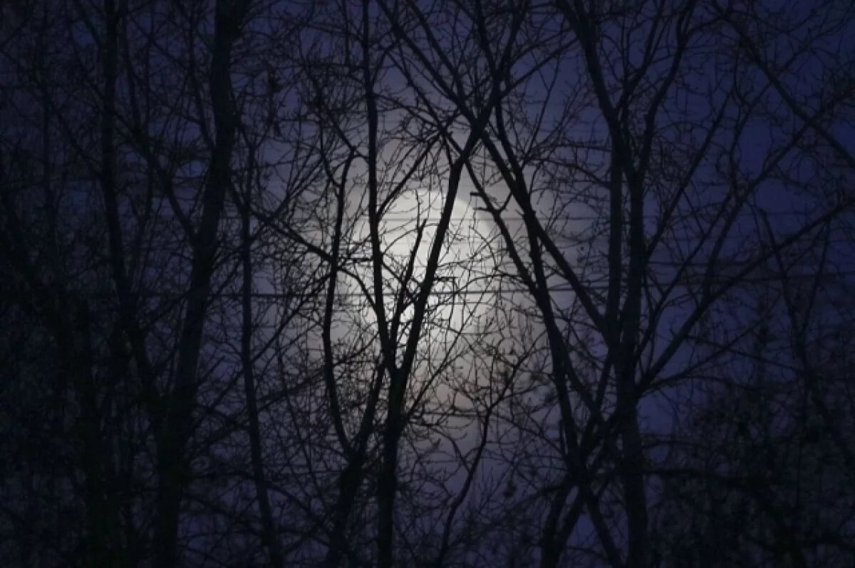    Зрелищное лунное затмение увидят жители Алтайского края 7 сентября