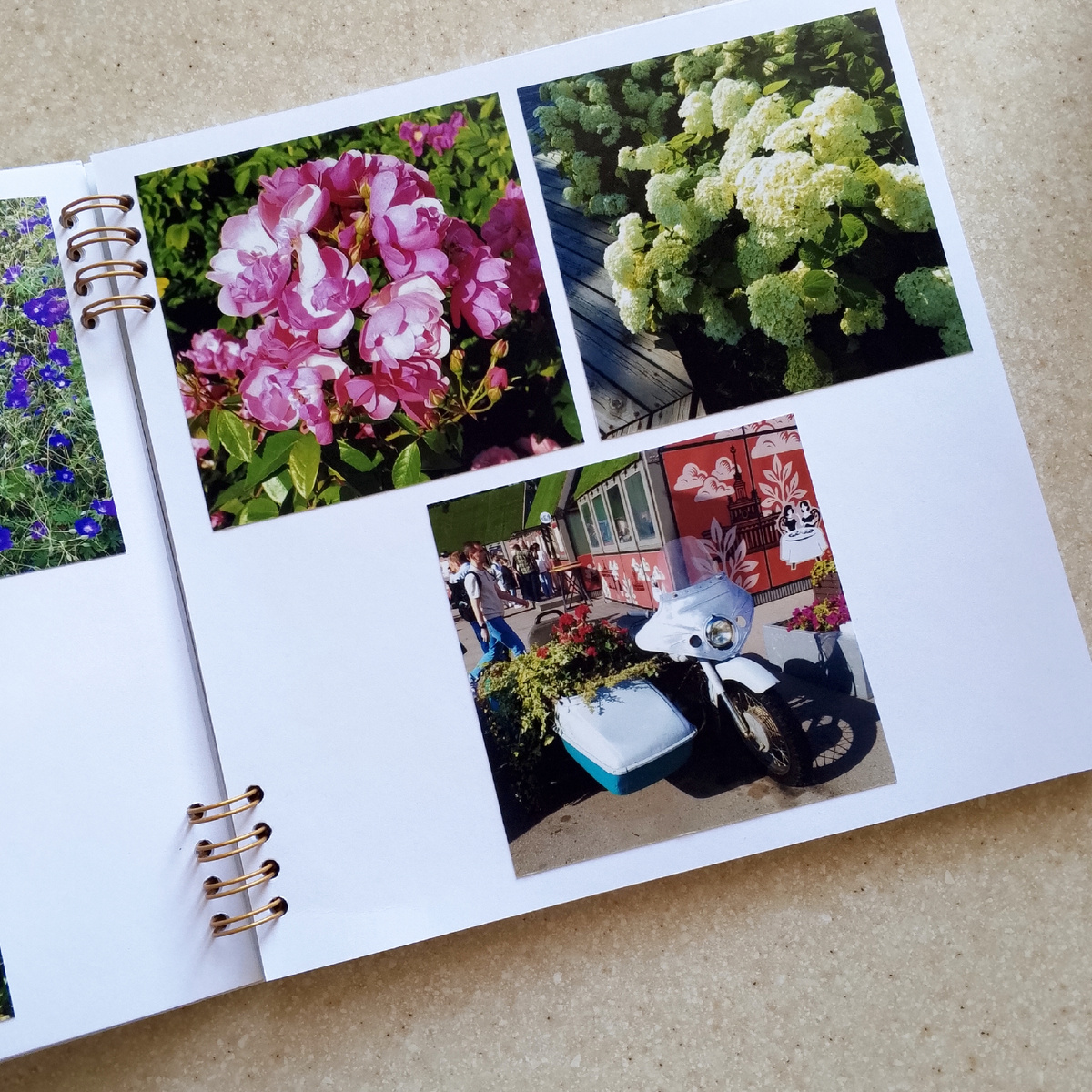 Фото автора.