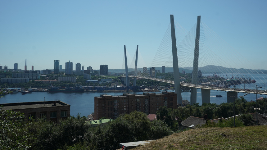    Фото: ИЗВЕСТИЯ/Павел Волков; 5-tv.ru