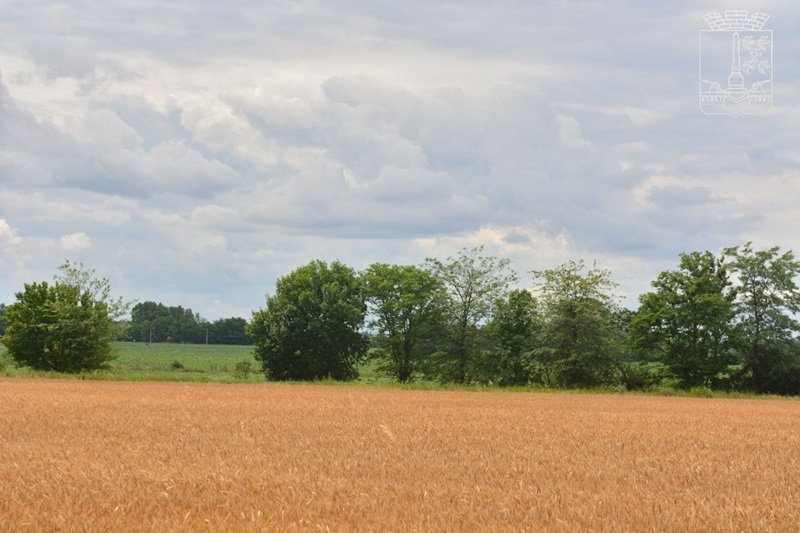    Фото: пресс-служба администрации Славянска-на-Кубани