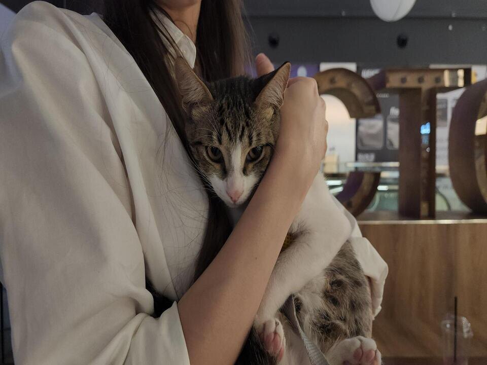    Фото: Ольга Шеметова