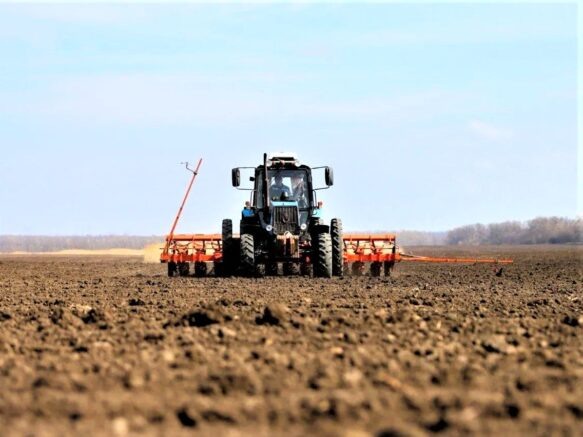    Фото: admkrai.krasnodar.ru