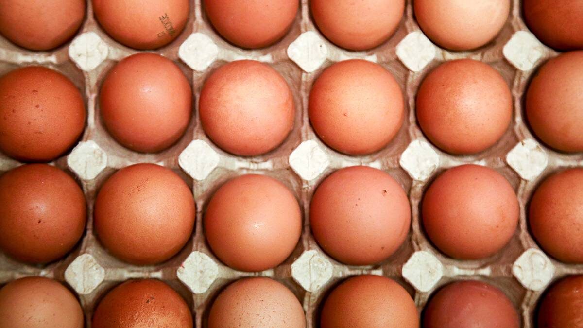    Фото: Артур Новосильцев / АГН Москва