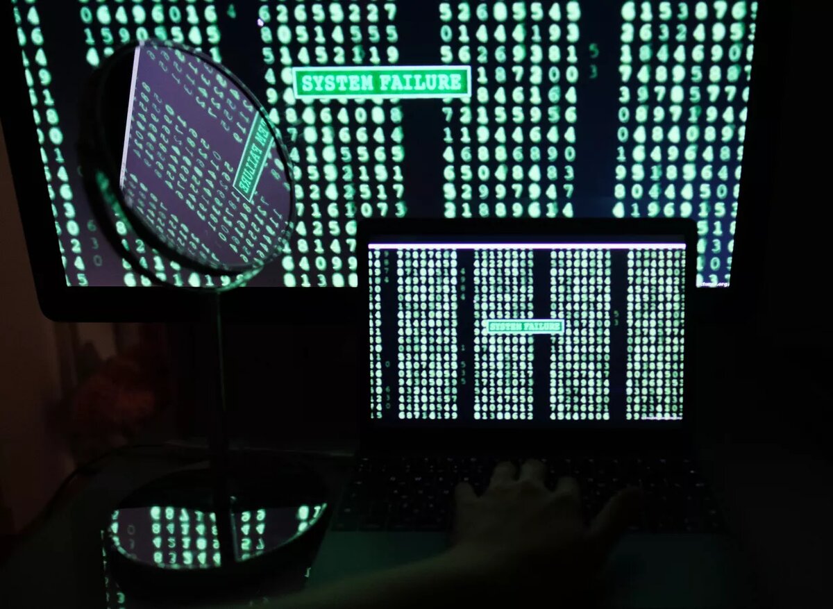 © Sputnik / Наталья Селиверстова 