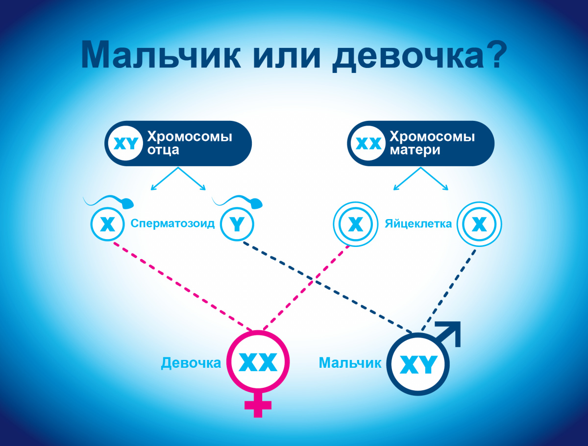 Надеюсь, сами разберётесь, что на этой картинке?