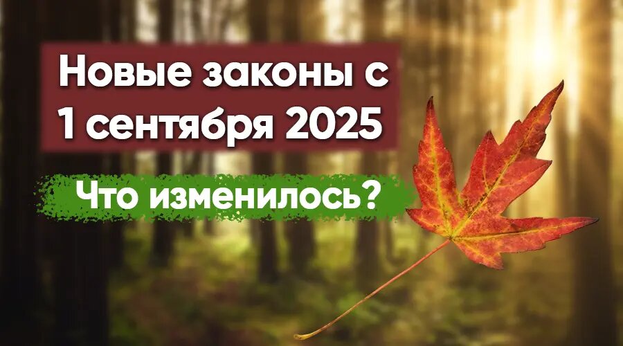 Фото: https://dzen.ru/finpodbor