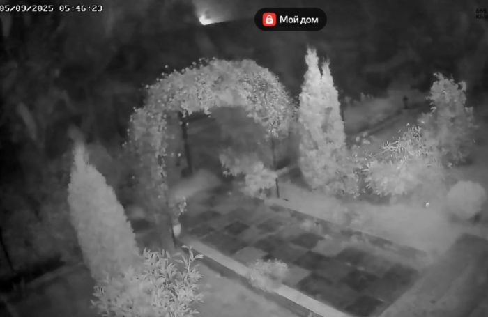 Кадр видео МКУ «СВЕТОЧ».