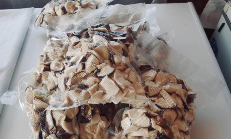    Леса Карелии переполнены белыми грибами«Фактор Новости»