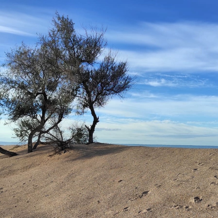 фото из личного архива