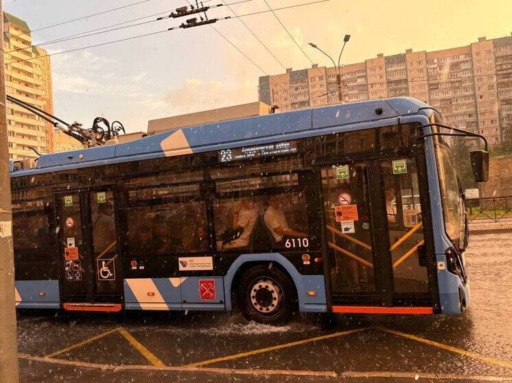     Фото: Архив МК в Питере.