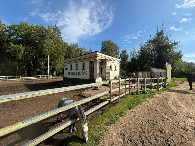    "Нехорошее отношение к лошадям"Александр Гнетнев / Фактор Новости