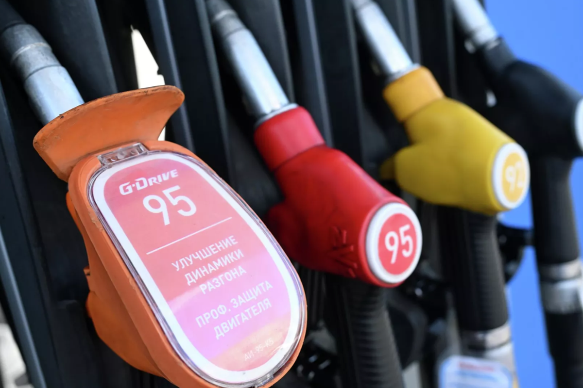    Фото: Кирилл Каллиников, источник: РИА Новости