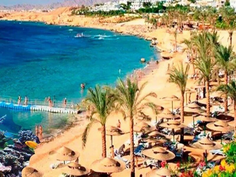 Фото из открытых источников интернета 