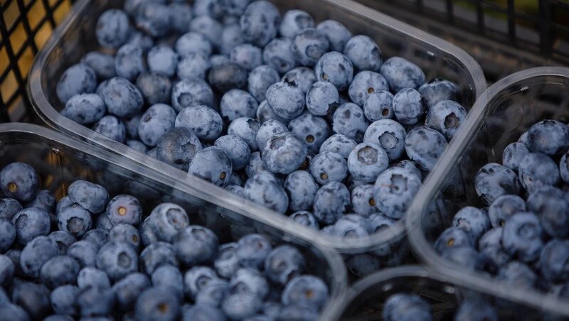      Фото: ИА «Победа26»