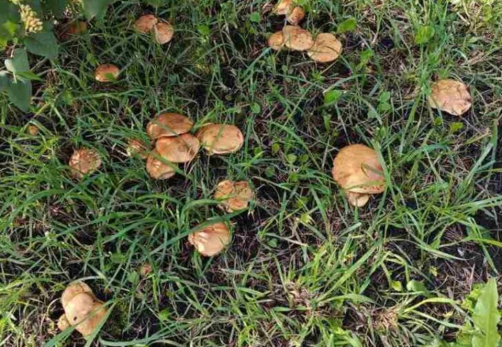    Фото: Пруфы.рф