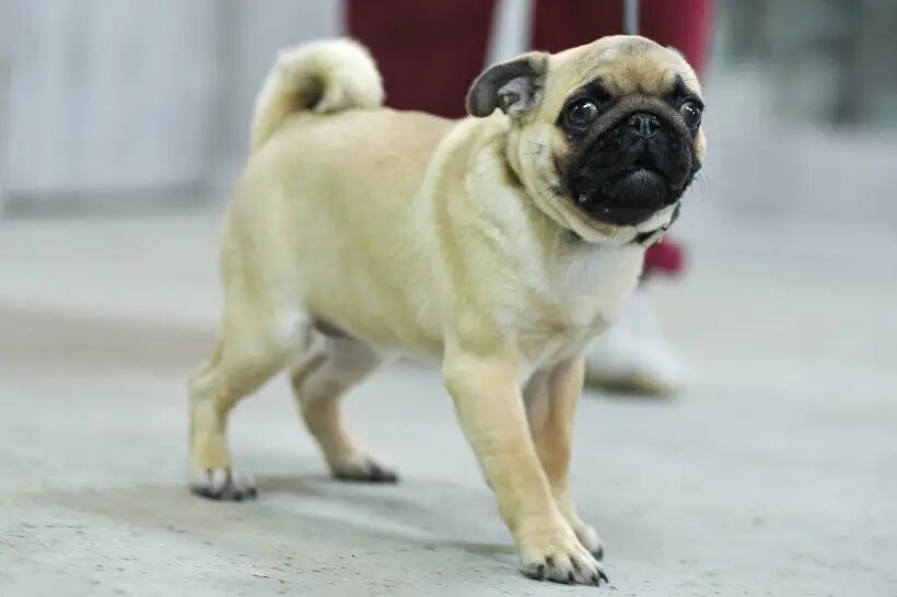     © РИА Новости. Алексей Сухоруков