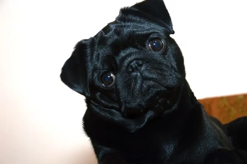    © "Интерфакс". Инна Басова