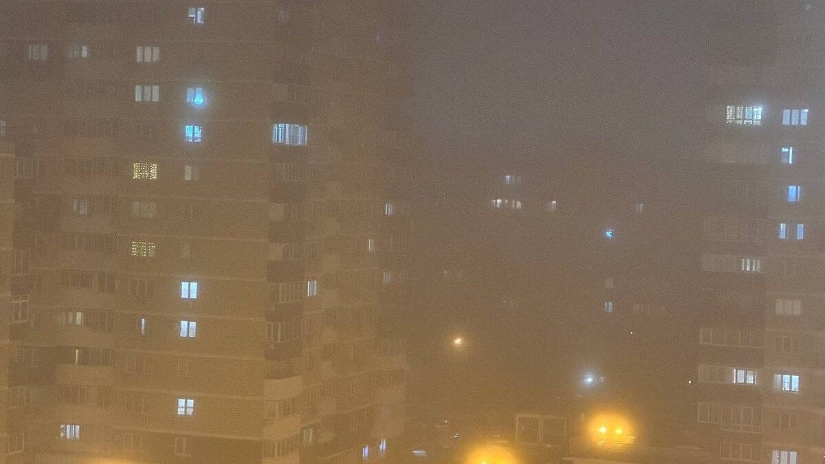    Фото: телеканал «Краснодар»