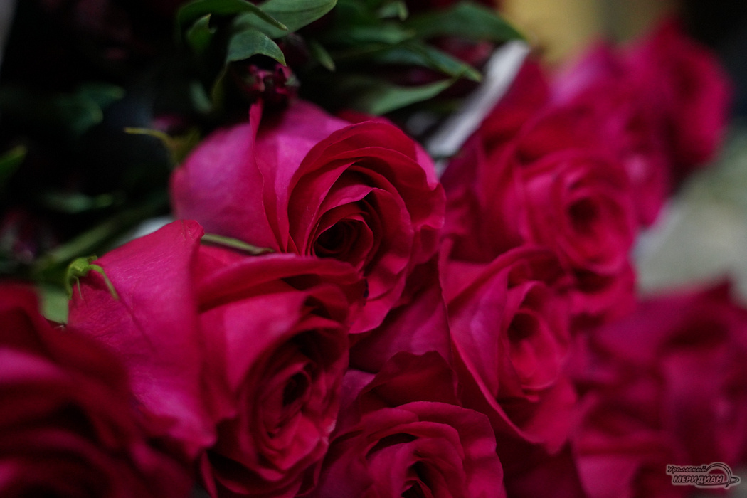    Фото: Лидия Аникина © ИА "Уральский меридиан"