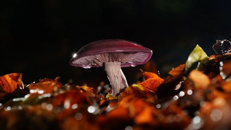      Фото: @wirestock / www.freepik.com