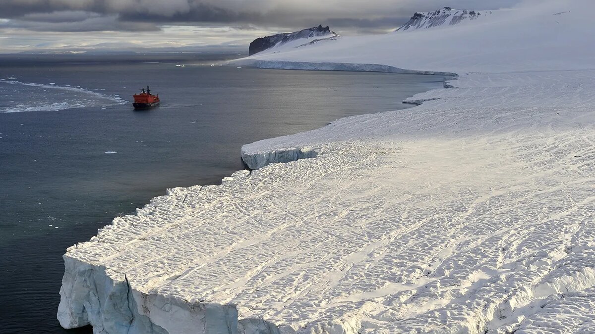   Лев Федосеев / ТАСС