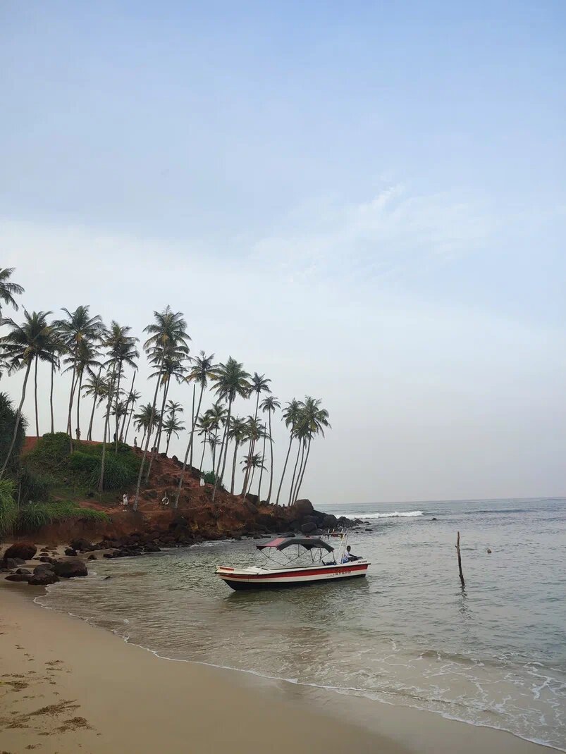 Coconut Tree Hill (также известен как скала Кокос) — живописный холм с кокосовыми пальмами на южном побережье Шри-Ланки, в городе Мирисса. 