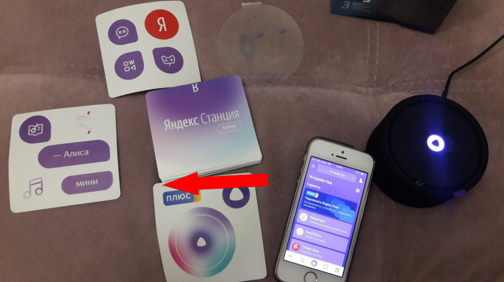    Что нельзя сказать Алисе если хотите остаться в живых!