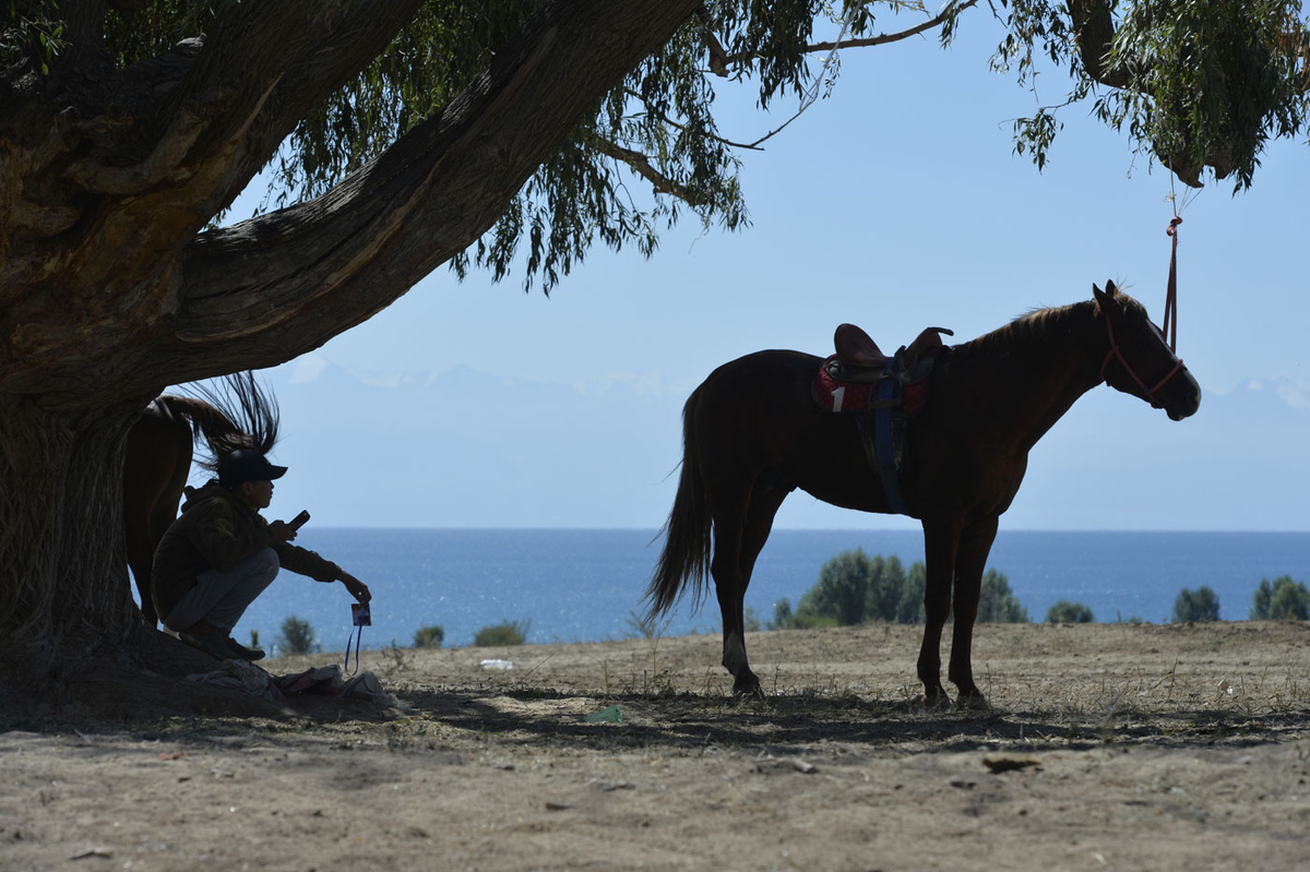    Vladimir Voronin / AP