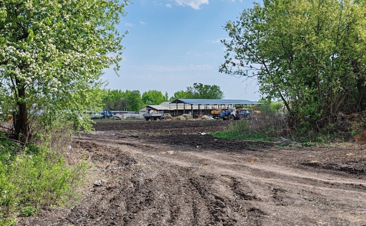 Фото: РБК Черноземье