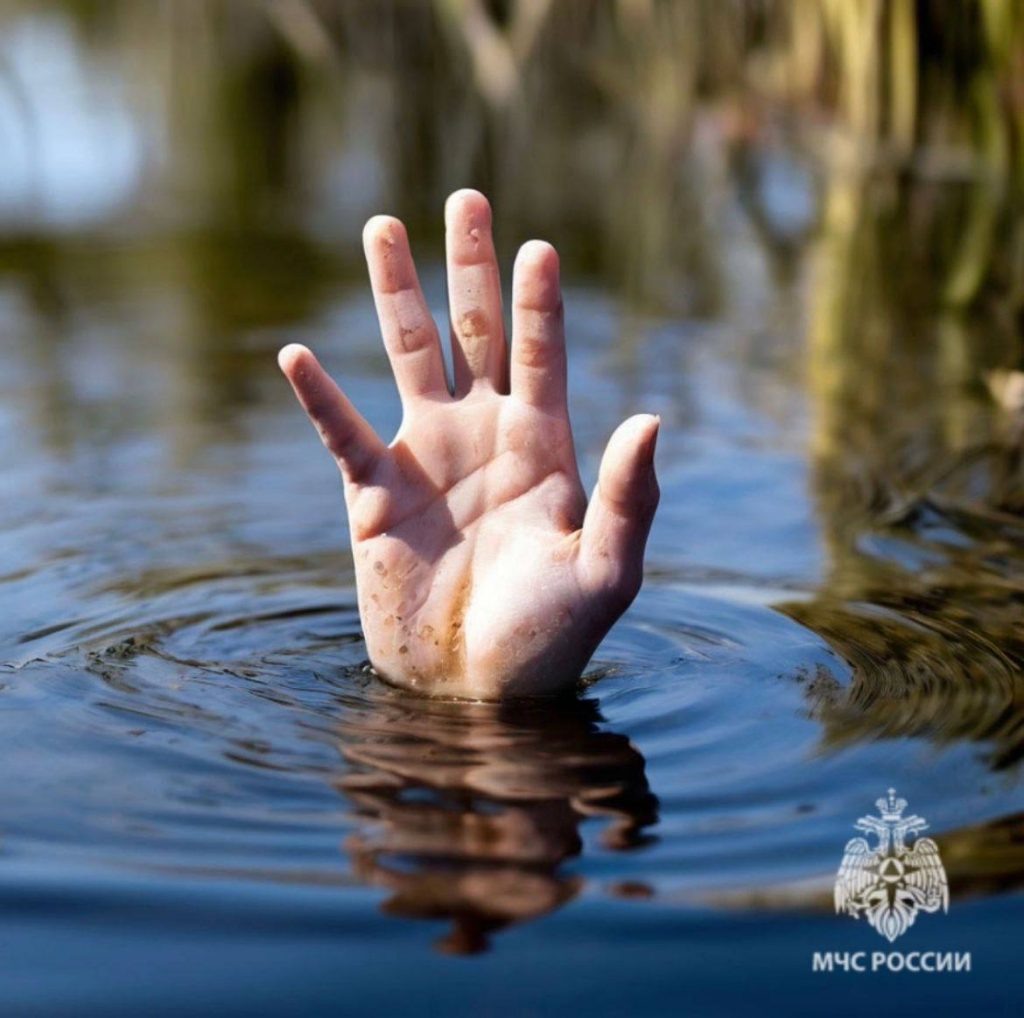    Фото: МЧС Ростовской области Редактор