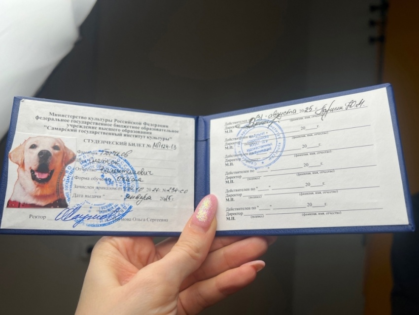 Студенческий билет хвостатого