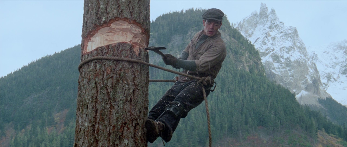 Кадр из фильма "Путешествие Нэтти Ганн" (1985)