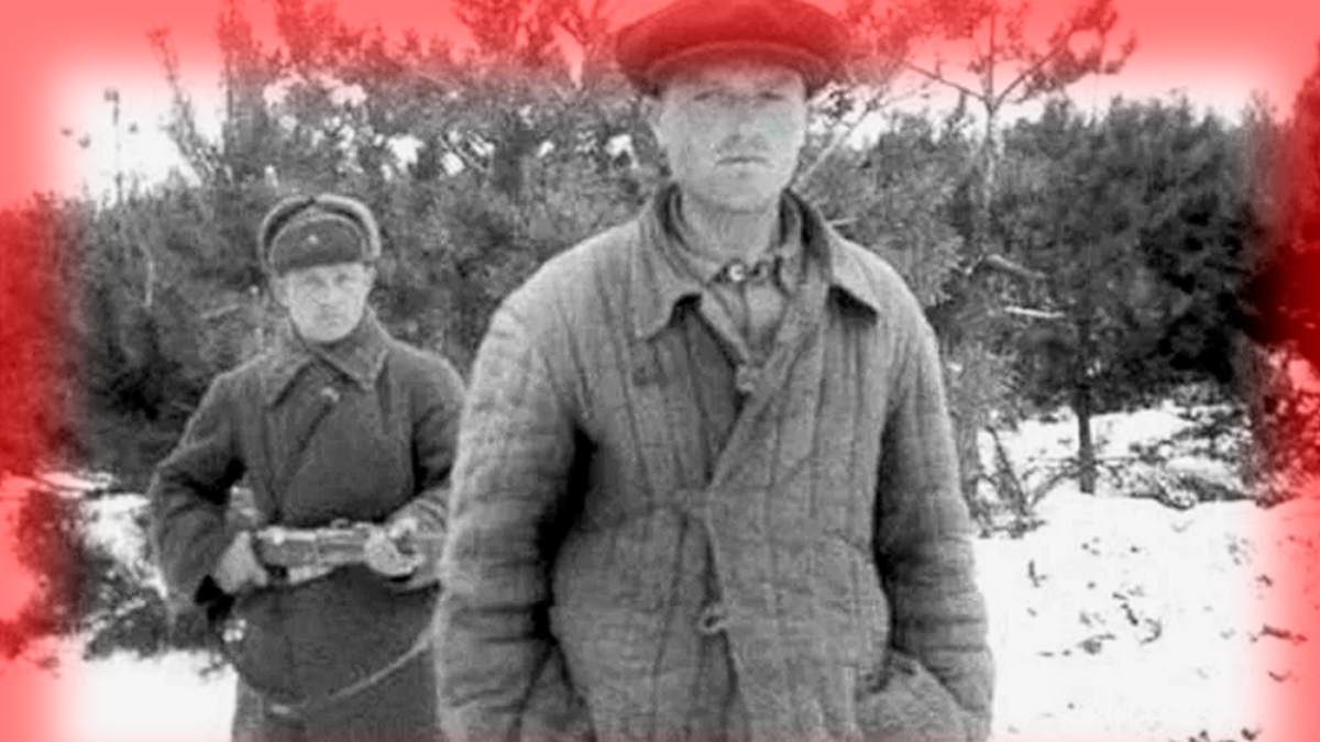 Для иллюстрации