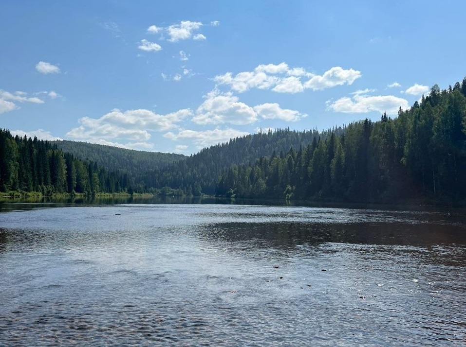    © Алёна Бронникова